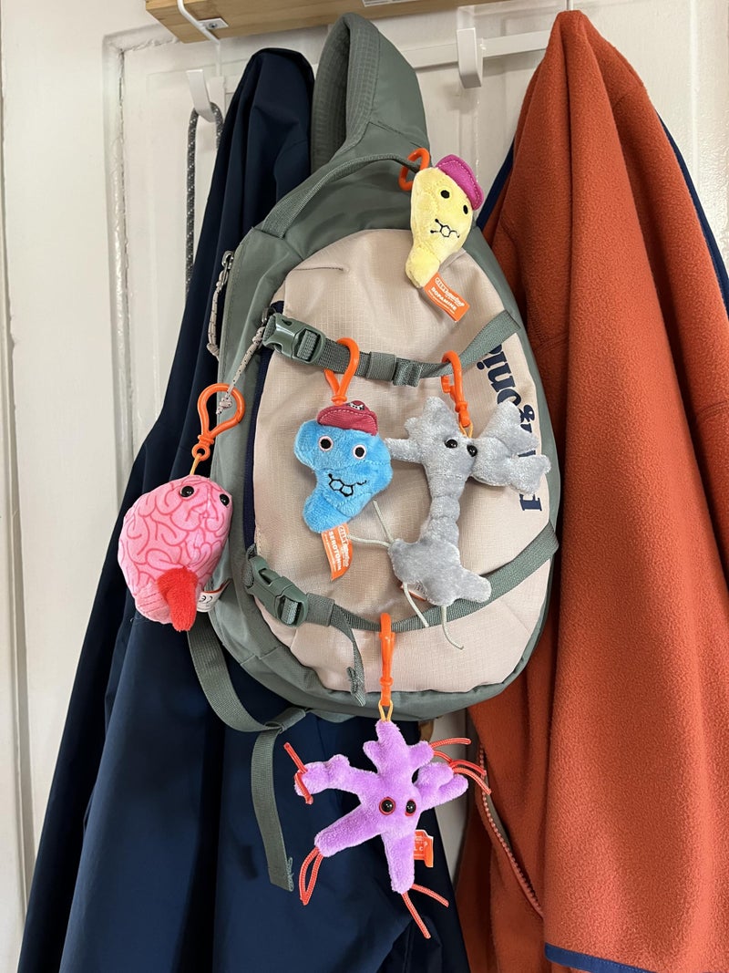 Giant Microbes GIANTmicrobes Brain Science Themed Gift Box, Brain Gifts, Neurology, Psychology Gifts, Plush Keychain, Therapist Gift, Bag Charms, Mental Health Awareness, TBI Awareness - Image 3