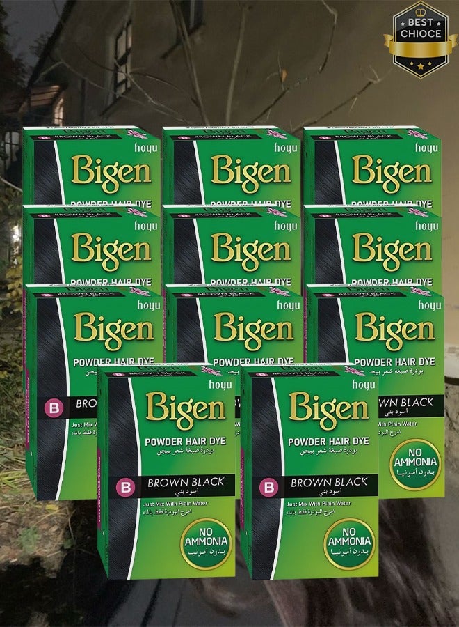 بايجن 11 قطع بودرة صبغ الشعر باللون البني والأسود مع الماء العادي بدون أمونيا 6 جرام - Image 1