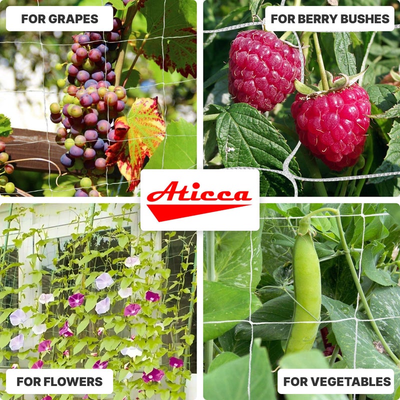 ATICCA Trellis Netting 5 x 350 ft Heavy Duty Polyester Plant Support Netting White - 6 Inch Garden Rope Trellis on Roll - Mesh Twine for Growing Vine Climbing Plants, Flowers, Peas, and Tomatoes - Image 5