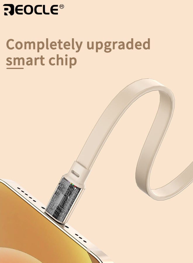 REOCLE 3-in-1 Retractable USB Charging Cable with 100W Fast Charge and Multi Port Design High Speed Data Sync Cord with Smartphone Compatibility for Device Charging - Image 2