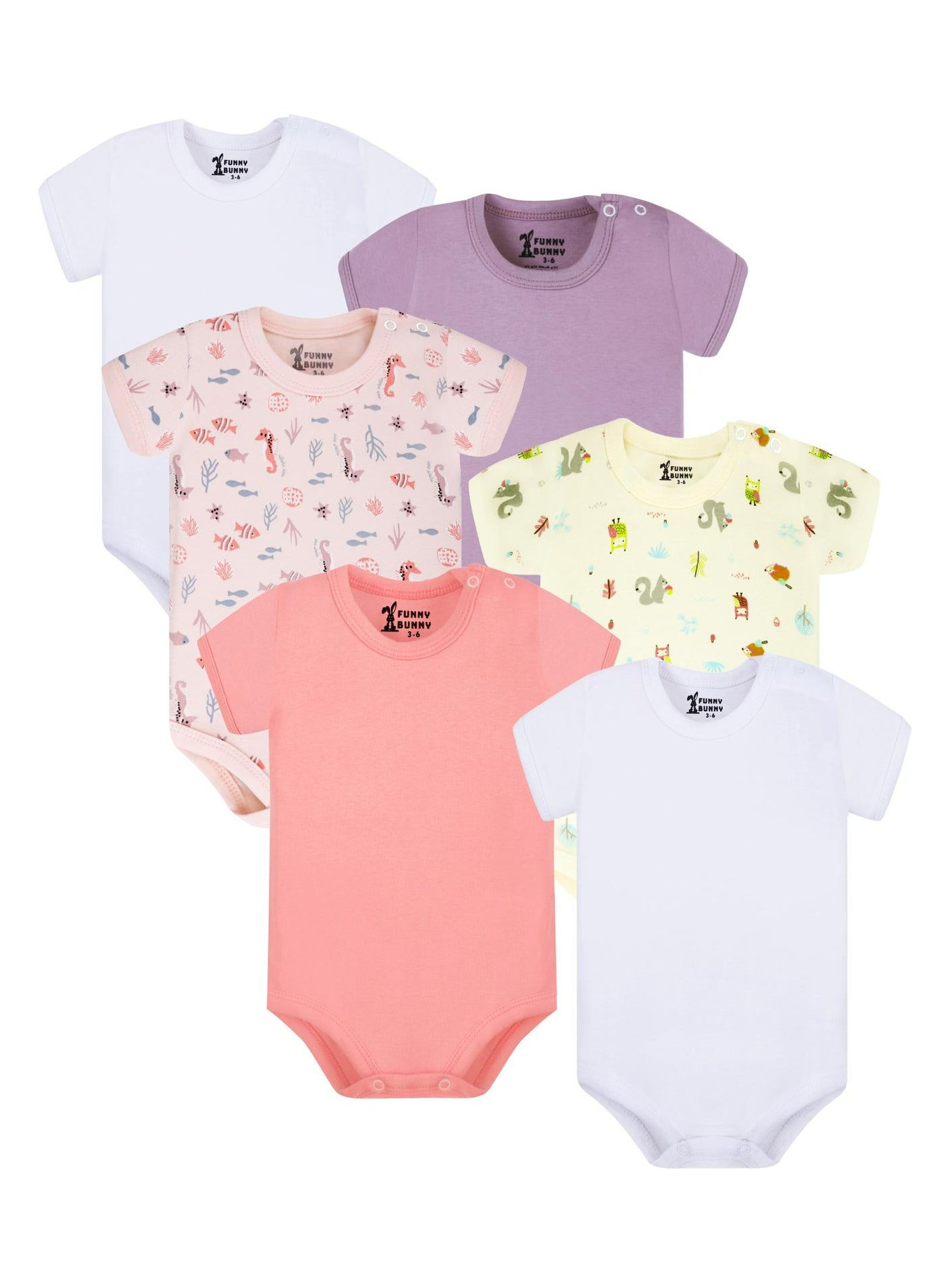 Funny Bunny Pack of 6 Cotton Half Sleeve Bodysuit for Baby