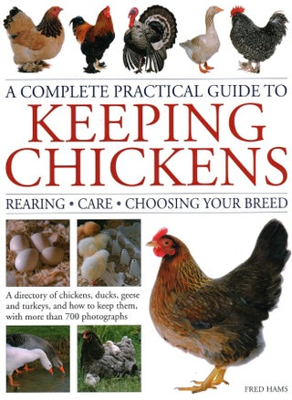 Keeping Chickens, Complete Practical Guide to: Rearing; Care; Choosing Your Breed: A directory of chickens, ducks, geese and turkeys, and how to keep them, with over 700 photographs - pzsku/Z31BB40AF17C4194E9EDEZ/45/_/1741850249/f2e2cc22-8368-4740-a239-6b9029843481