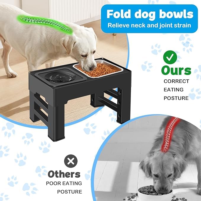 KUTKUT Elevated 2-in-1 Dog Bowls - 4 Adjustable Heights Spill Proof Dog Water Bowl & Stainless Steel Dog Food Bowl - Stand for Small, Medium & Large Dogs (Capacity: SS Bowl: 1.6L, Food Bowl: 2L) - Image 3
