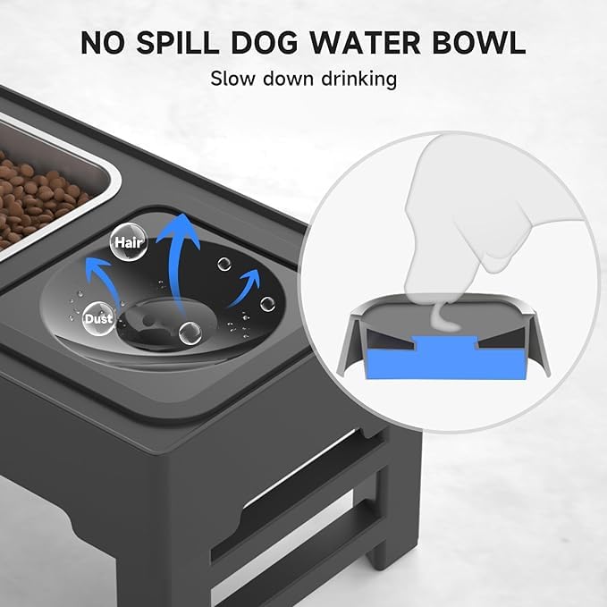KUTKUT Elevated 2-in-1 Dog Bowls - 4 Adjustable Heights Spill Proof Dog Water Bowl & Stainless Steel Dog Food Bowl - Stand for Small, Medium & Large Dogs (Capacity: SS Bowl: 1.6L, Food Bowl: 2L) - Image 5