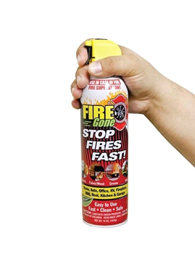 Fire Gone Stop Fires Fast! Eo-Friendly Fire Extinguisher 16 oz ZAR FG24-247102 - Image 2