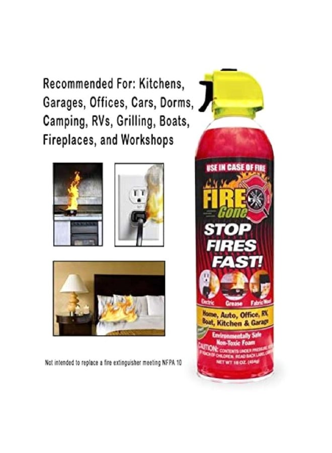 Fire Gone Stop Fires Fast! Eo-Friendly Fire Extinguisher 16 oz ZAR FG24-247102 - Image 3