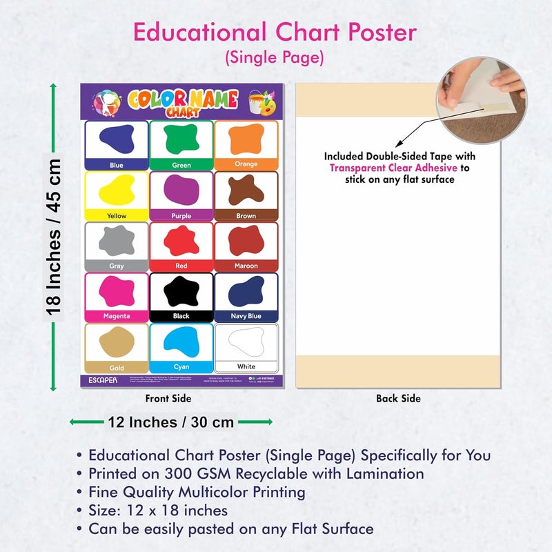 ESCAPER Colors Educational Charts for Kids, Charts for Kids Learning (11.5 x 17.5 inches), Kids Study Material, Kids Learning Books, Educational Posters - Image 3