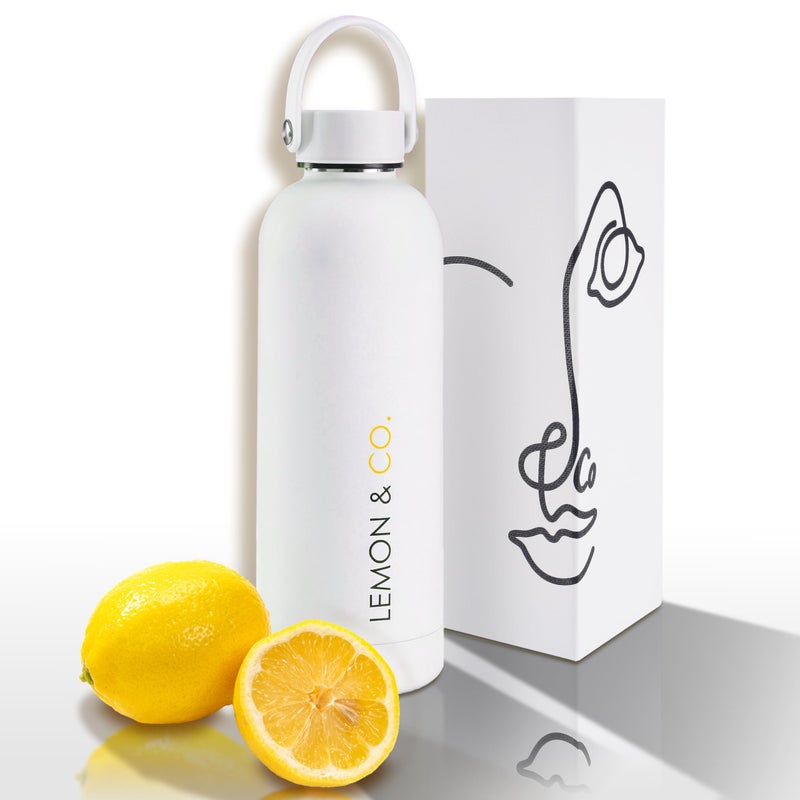 LEMON & CO. Stainless Steel Bottle (16oz, 500ml) - Sustainable Water Bottle with Handle for Hot & Cold Drinks for Travel, Gym and More, Double Wall Vacuum Insulated, BPA-Free - Minimalist Design - Image 1