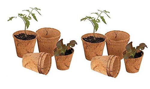 COIR GARDEN Coir Pot 5 inch - 10 Nos, Coco Basket for Gardening Plants & Flowers, Planters - Image 1