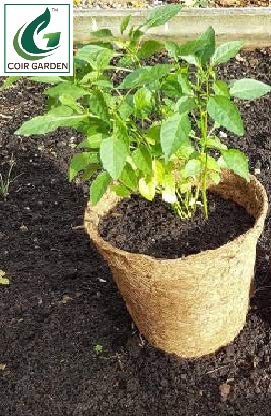 COIR GARDEN Coir Pot 5 inch - 10 Nos, Coco Basket for Gardening Plants & Flowers, Planters - Image 4