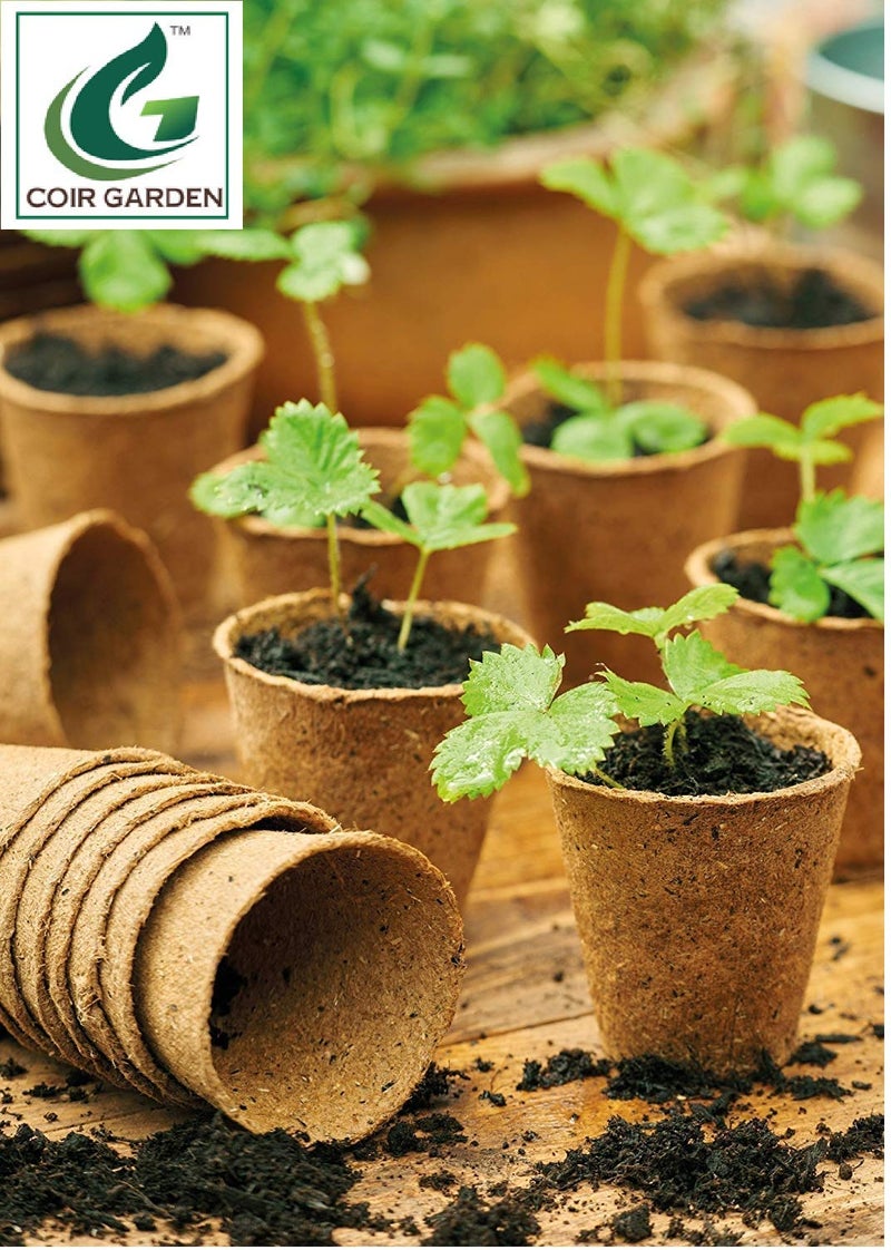 COIR GARDEN Coir Pot 5 inch - 10 Nos, Coco Basket for Gardening Plants & Flowers, Planters - Image 2