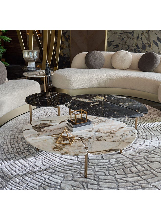 AL HUZAIFA FURNITURE - Wagner Coffee Table Natural Marble Top - Image 1