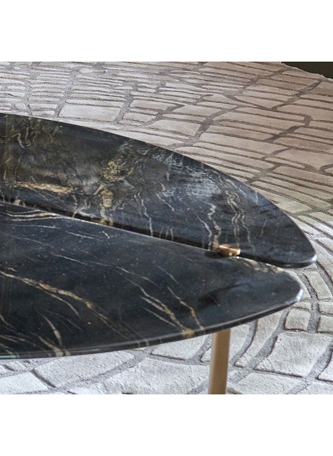 AL HUZAIFA FURNITURE - Wagner Coffee Table Natural Marble Top - Image 1