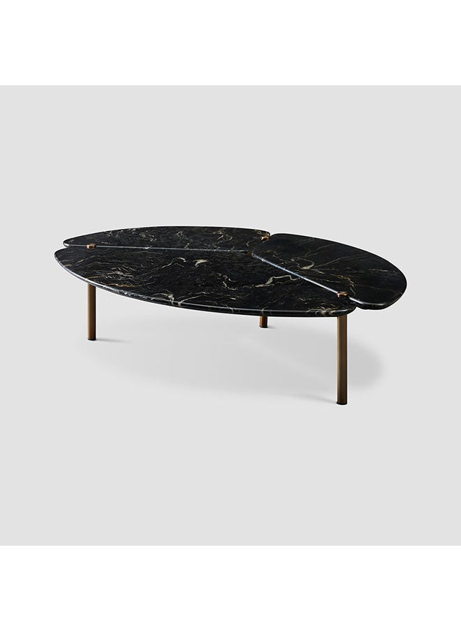 AL HUZAIFA FURNITURE - Wagner Coffee Table Natural Marble Top - Image 1
