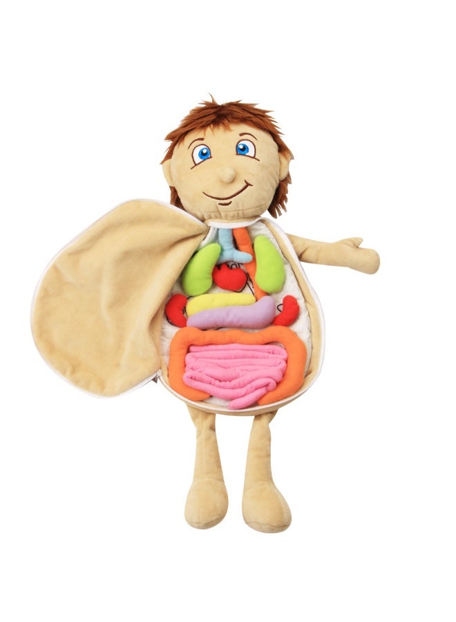 general Children's body structure puzzle baby human body cognitive apron kindergarten model early education toy - Image 3