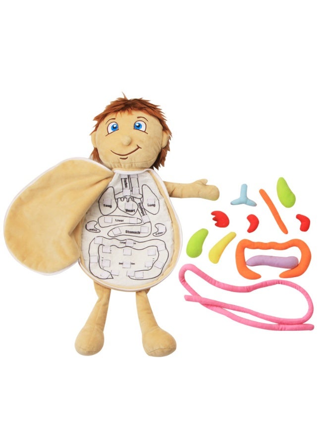 general Children's body structure puzzle baby human body cognitive apron kindergarten model early education toy - Image 2