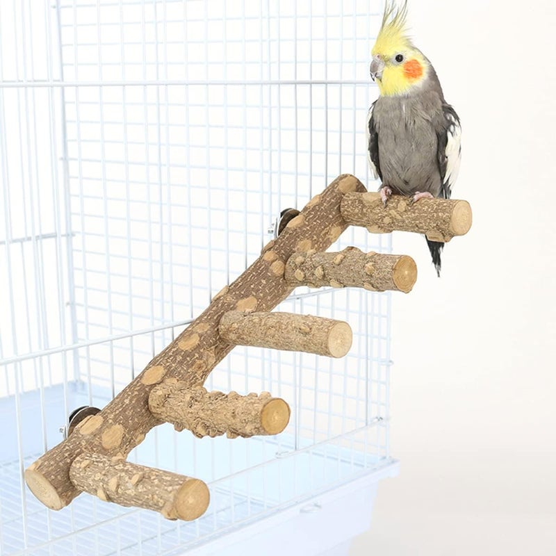 Yamibobo Bird Ladder, Natural Wood Parrot Perch Stand, Natural Prickly Ash Wood Climbing Standing Branch Bird Chewing Toys for Parakeet Cockatiel Rats Hamsters - Image 5
