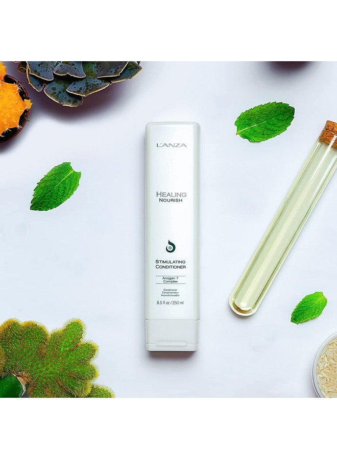 L'anza Healing Nourish Stimulating Conditioner Encourages Healthy Hair Growth While Eliminating Dead Skin Cells Sebum Residue & Dht For A Healthy And Fresh Hair And Scalp (8.5 Fl Oz) - Image 3