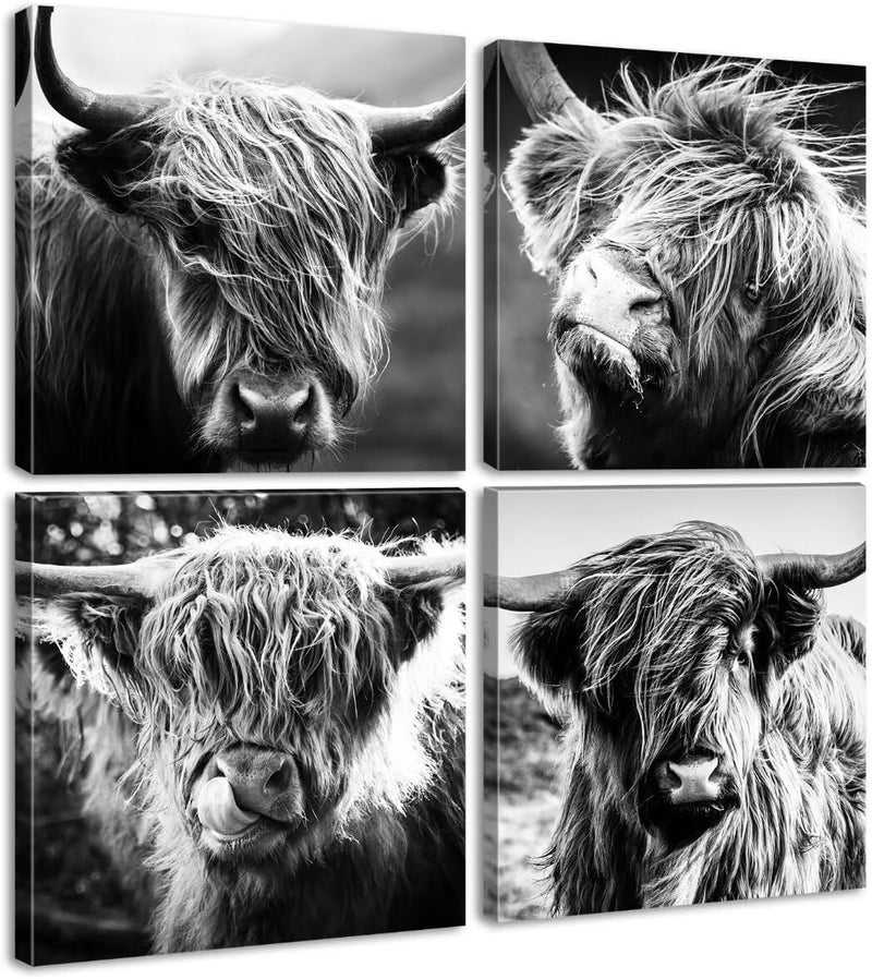 DJSYLIFE Highland Cow Wall Art Farmhouse Decor Canvas Printed Black and White Cow Pictures Wall Decor Modern Western Rustic Artwork Decorations for Bedroom Office Living Room 12"×12"×4 - Image 1