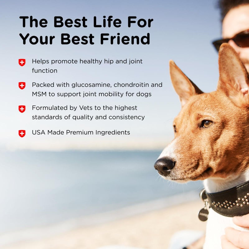 nutri vet Nutri-Vet Advanced Strength Hip & Joint Chewable Dog Supplements - Formulated with Glucosamine & Chondroitin to Support Dog Cartilage & Mobility - 150 Tablets - Image 4