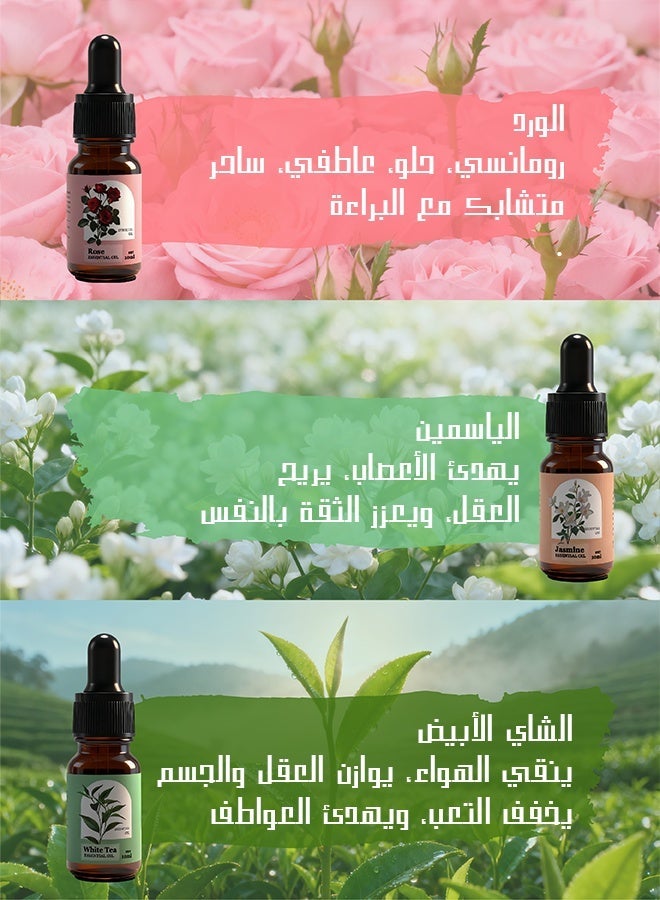ميجيسو مجموعة زيوت عطرية (٦ روائح) - أفضل زيت عطري للمباخر والمرطبات والقلائد - زيت عطري للعلاج بالروائح - الخيار الأول كزيت عطري للمنزل - هدية زيت عطري فاخرة عالية الجودة - Image 5
