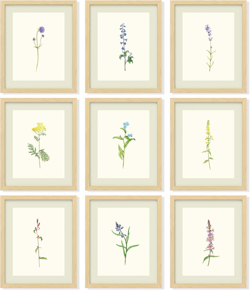 97 Decor Vintage Botanical Wall Art - Antique Botanical Prints, Rustic Floral Wall Art, Flower Art Wall Decor, Wildflower Posters Botany Pictures for Home Bedroom Decorations (8x10 UNFRAMED) - Image 1
