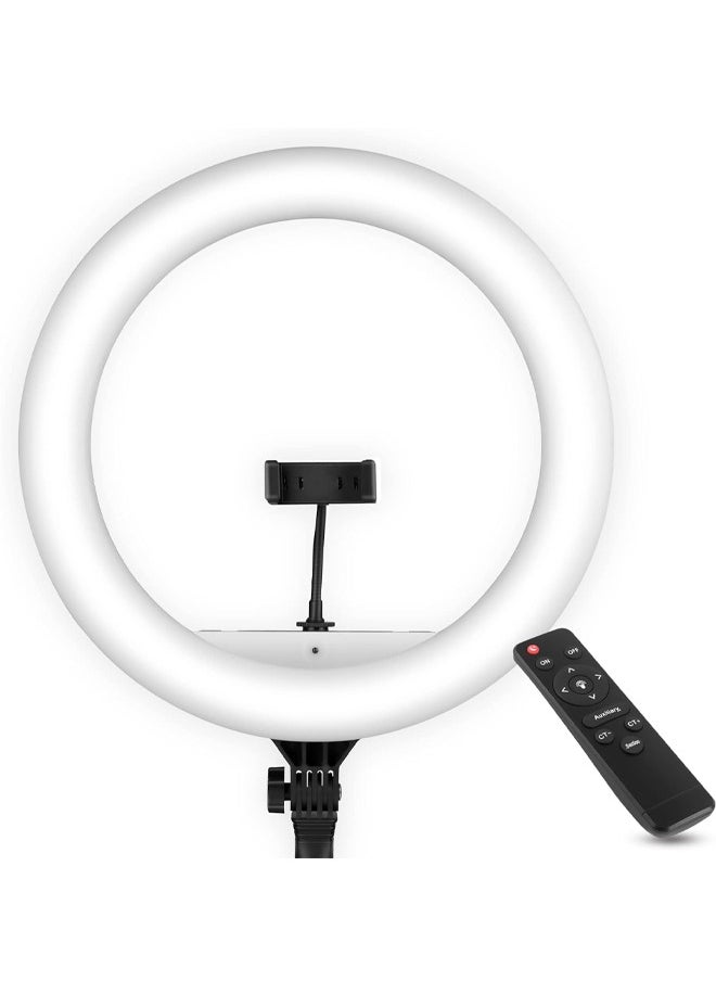 MOG - Mog 10 inch Professional Ring Fill Light Big LED Ring Light with 3 color modes Dimmable Lighting For YouTube Photo-shoot Video shoot  Live Stream Makeup & Vlogging Cameras White - Image 1