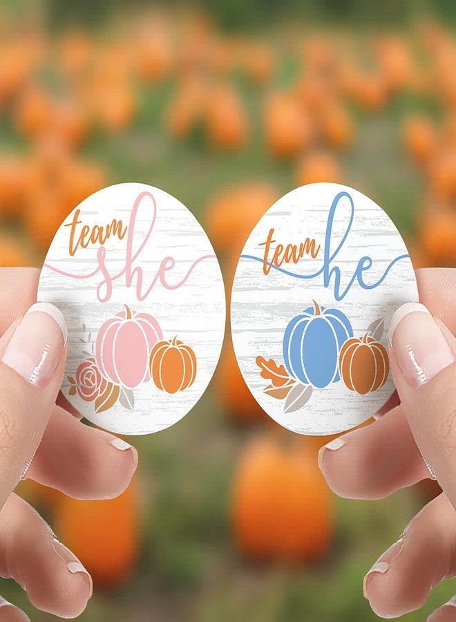 DISTINCTIVS Little Pumpkin Gender Reveal Stickers, Team He or Team She Gender Reveal Voting Labels - 40 Count - Image 2