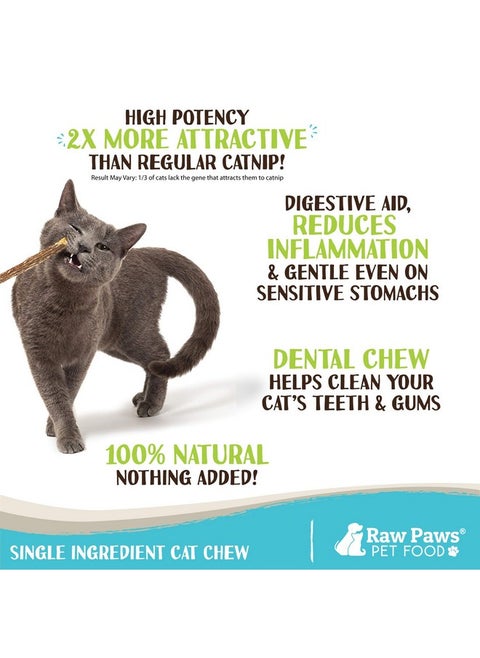 Raw Paws Silvervine Sticks for Cats, 30 (Pack) - Silvervine Cat Toy for Indoor Cats, Catnip Sticks, Matatabi Cat Chew Stick, Silvervine for Cats, Silver Vine Sticks Cats Kicker Toy, Cat Toy Silvervine