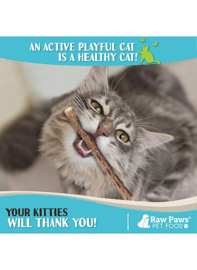 Raw Paws - Raw Paws Silvervine Sticks for Cats, 30 (Pack) - Silvervine Cat Toy for Indoor Cats, Catnip Sticks, Matatabi Cat Chew Stick, Silvervine for Cats, Silver Vine Sticks Cats Kicker Toy, Cat Toy Silvervine - Image 1