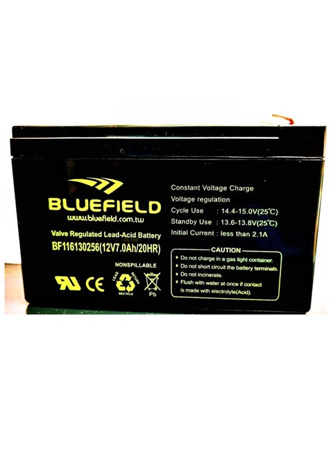 Valve Regulated Lead-Acid Battery (12V 7Ah)