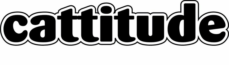 Imagine This Cattitude Car Magnet, 7-Inch by 2-Inch - Image 4