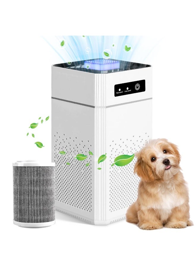 MostNow Air Filter Cleaner, Odor Eliminator, Air Purifier for Home Large Room, Remove Allergies Smoke Dust Pollen Pet Dander, Night Light - Image 1