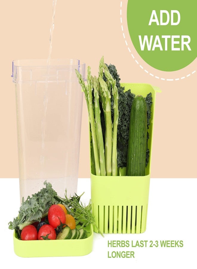 LUVCOSY 3 Pack Herb Keeper, BPA-Free Plastic Herb Saver with an Inner Basket for Cilantro, Mint, Parsley, and Asparagus, Keeps Fresh Herbs for 3 Times Longer - Image 5