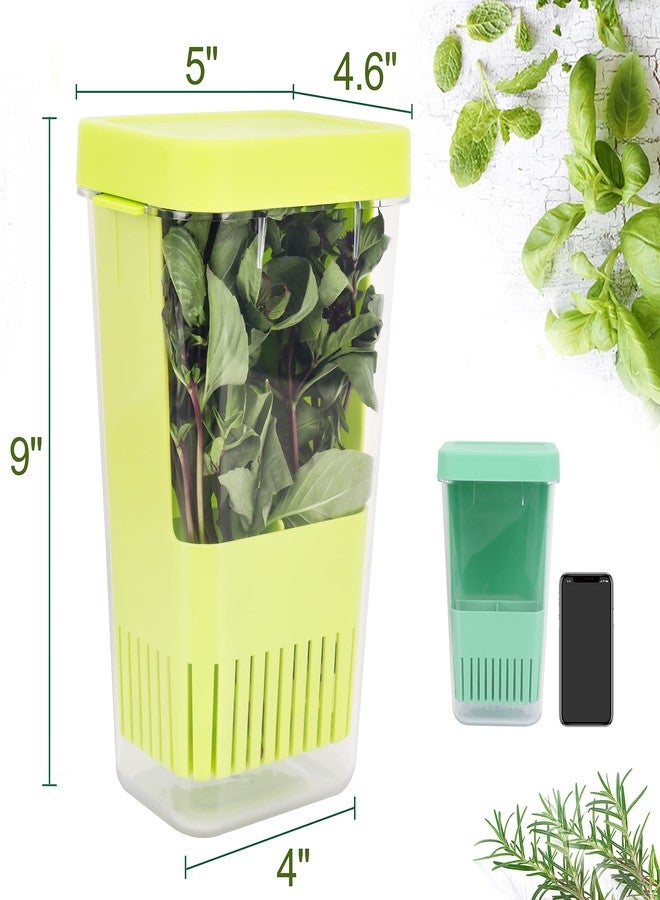 LUVCOSY 3 Pack Herb Keeper, BPA-Free Plastic Herb Saver with an Inner Basket for Cilantro, Mint, Parsley, and Asparagus, Keeps Fresh Herbs for 3 Times Longer - Image 2