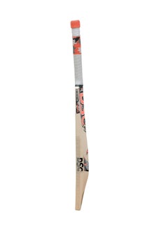 DSC DSC Roar Hunter Kashmir Willow Cricket Bat (Beige, Size 2) - Lightweight, Durable All-Round Bat for Leather Ball Play, Perfect for Beginners and Recreational Players  - Image 4