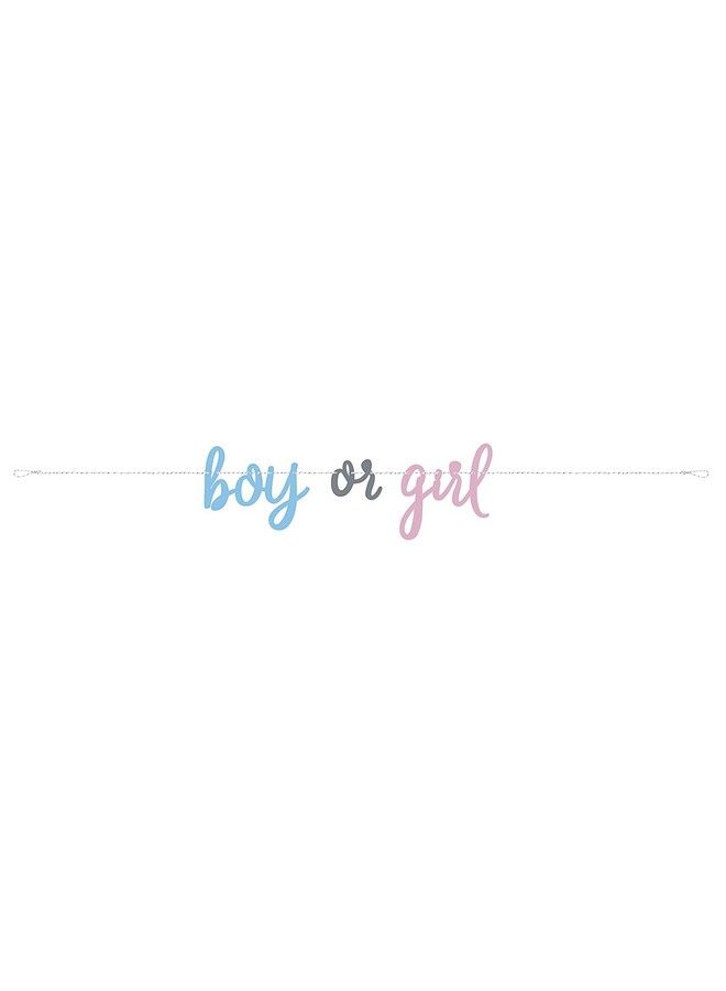 Unique Boy Or Girl Gender Reveal Letter Banner I Pink & Blue I Cardstocl I 1 Pc - Image 1
