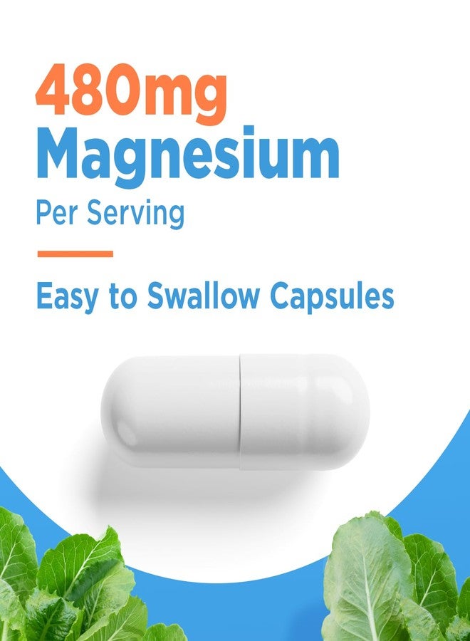 SELFevolve Magnesium Glycinate 480mg - High Absorption Magnesium Supplement Support Stress Relief, Sleep, Heart Health, Nerves, Muscles, and Metabolism, 120 Veggie Capsules, 1 Month Supply - Image 3