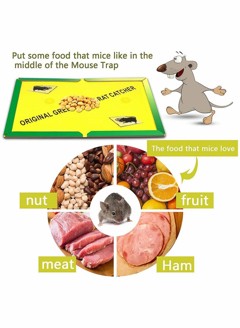 GREEN KILLER 5-Piece Garden Mouse And Rat Glue Traps Set - Image 5