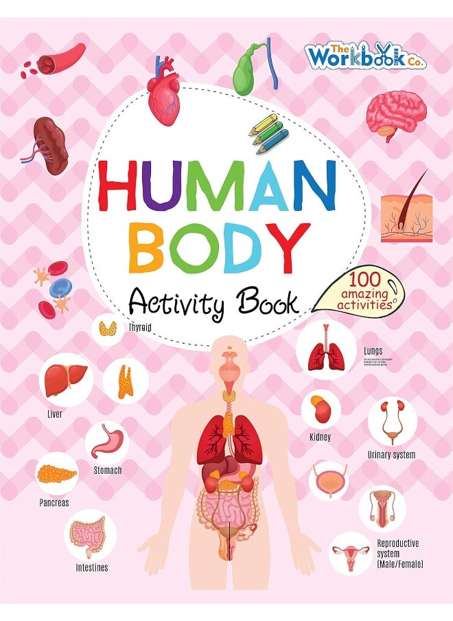 null - Human Body Activity Book - Image 1