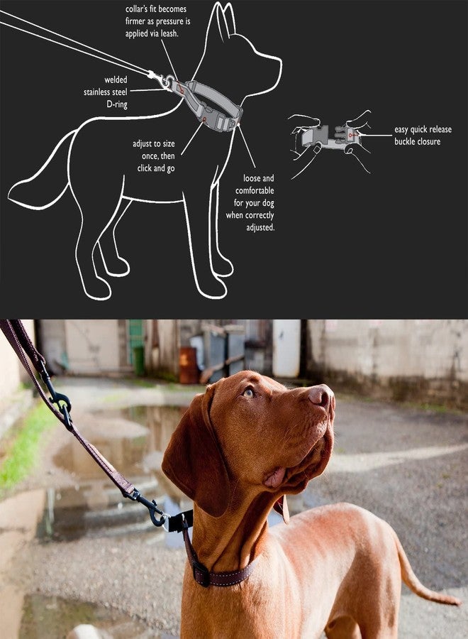 EzyDog Checkmate Martingale Collar for Dogs - Premium Nylon Training Dog Collar for Easy Control with no Choking (Medium, Red) - Image 3