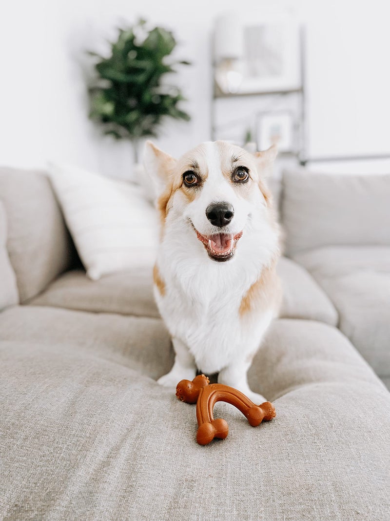 Nylabone Ergonomic Hold Wishbone Power Chew Toy for Dogs, Dog Toys for Aggressive Chewers, Bison Flavor, Small - Up to 25 Ibs, 1 Count - Image 2