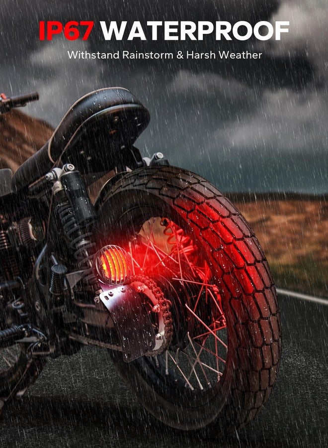 Amazicha 1" Motorcycle LED Tail Brake Light with Bracket, Waterproof Motorcycle Side Mount Curved License Plate Rear Light Compatible for Harley Sporster Bobber Chopper Honda Yamaha Suzuki Kawasaki - Image 4