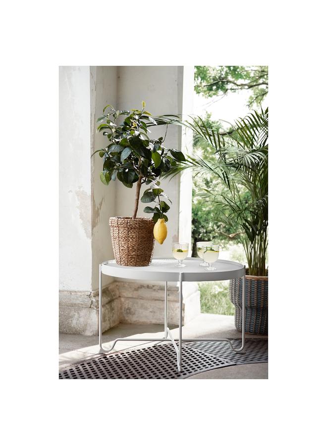 زبون وعاء نباتات، عشب البحر، 19 سم - Image 3