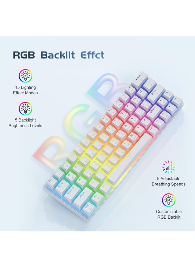 Tezarre TK63 Pro Wireless Keyboard Bluetooth/2.4G/USB Wired 60% Mechanical Gaming Keyboard RGB Backlit PBT Pudding Keycaps Hot-Swappable (Gateron Brown Switch)  - Image 2