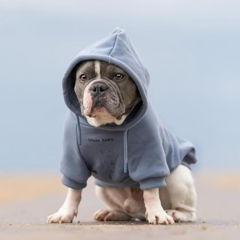 Spark Paws Dog Hoodie – Premium Dog Sweater for Small, Medium, and Large Dogs | Warm Outfits for French Bulldogs, Pitbull, Puppy, Winter Jacket Alternative - Slate Blue - 3XL - Image 4