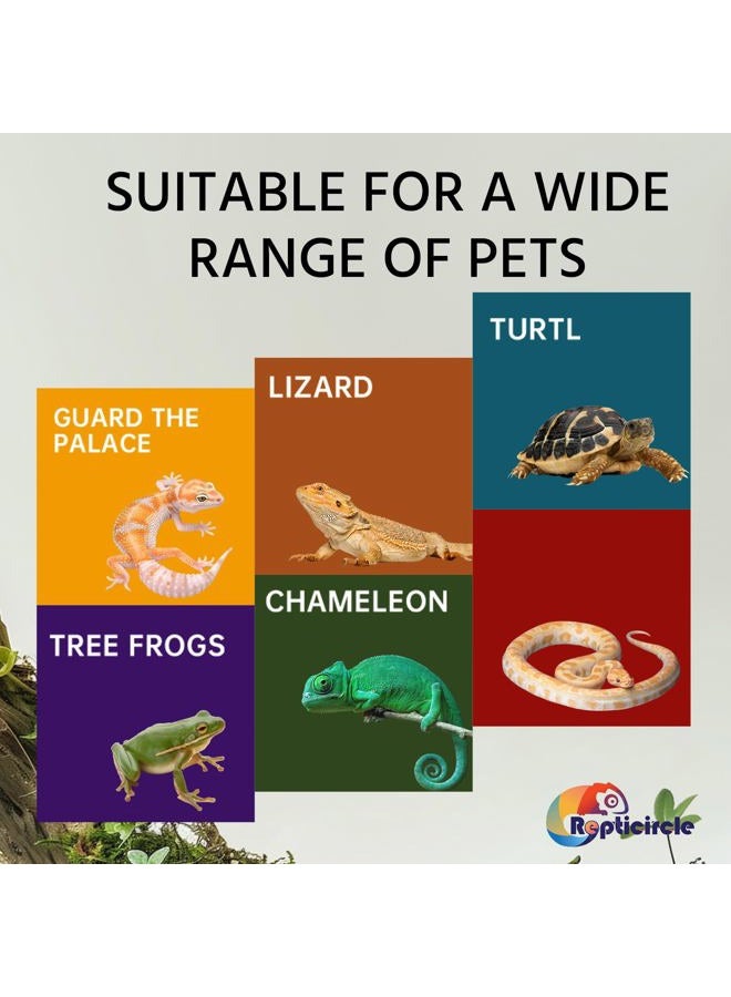 Repticircle Reptile Hide Resin Snake Hides, Bearded Dragon Hide, Lizard Leopard Gecko Habitat - Image 2