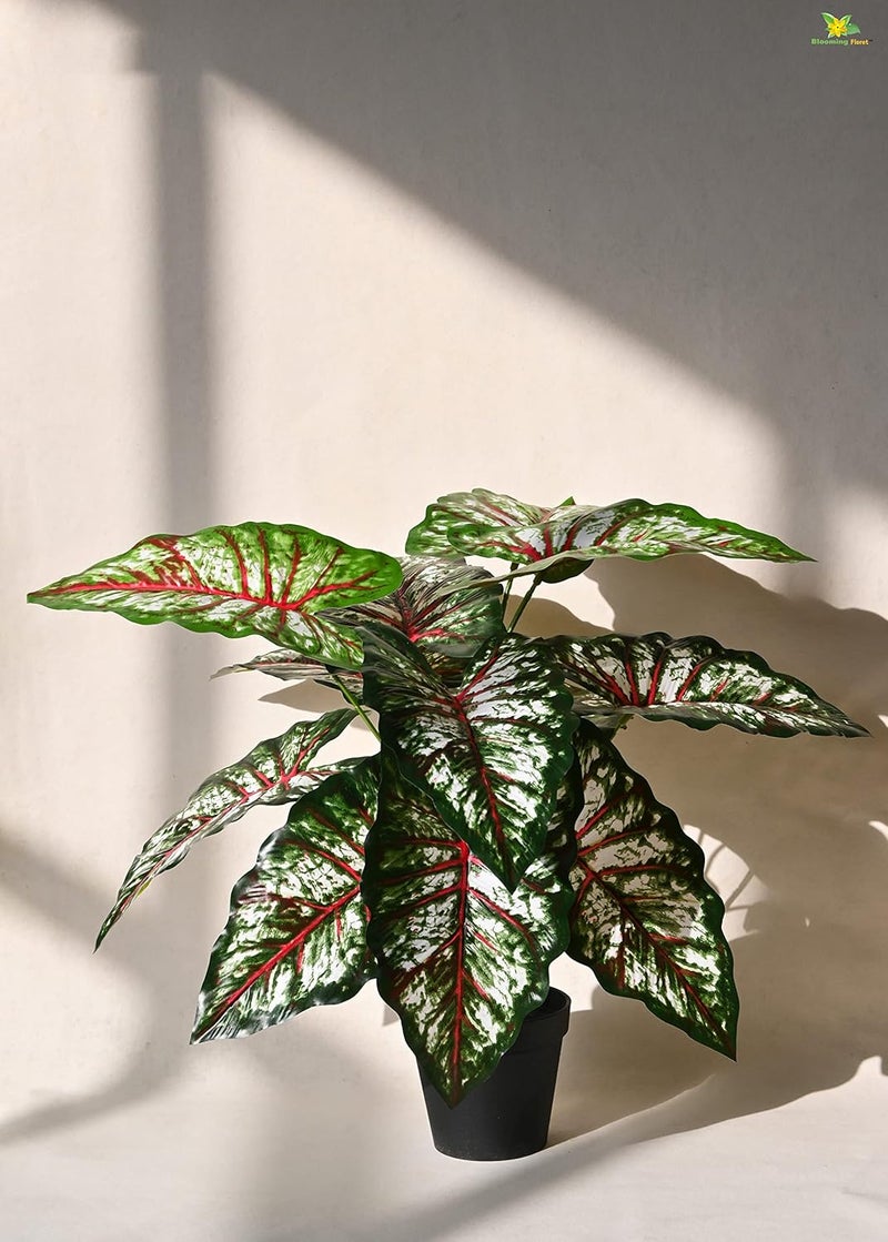 Blooming Floret Blooming Floret Artificial Tropical Caladium Plant 12 Leaves with Basic Black Pot 65 cm Short Ornamental Plant for Interior DecorHome DecorOffice Decor Durable Indoor Plant 