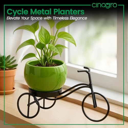 CINAGRO Cycle-Shaped Metal Plant Stand for Indoor & Outdoor Use, Metal Cycle Flower Vase, Decorative Iron Planter Pot Holder for Flowers & Ornaments (24 x 11 x 11cm) Style: Urban Pedal, Big - Image 2