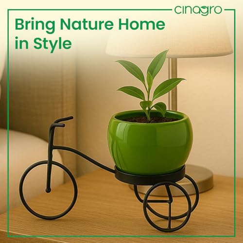 CINAGRO Cycle-Shaped Metal Plant Stand for Indoor & Outdoor Use, Metal Cycle Flower Vase, Decorative Iron Planter Pot Holder for Flowers & Ornaments (24 x 11 x 11cm) Style: Urban Pedal, Big - Image 5